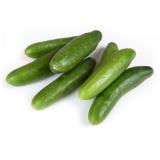 Gurken - Snackgurken (Minigurken)