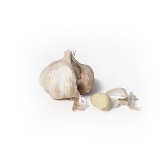 Knoblauch