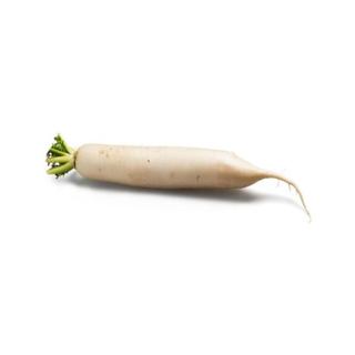 Bierrettich
