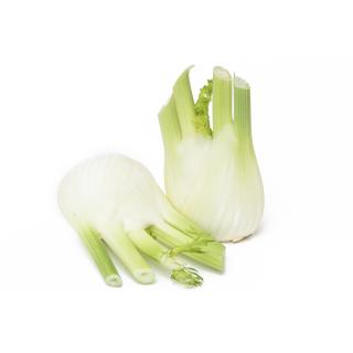 Fenchel