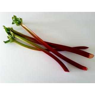 Rhabarber
