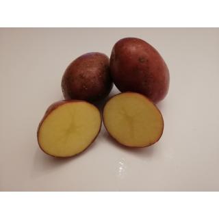 Kartoffeln Alouette (eher mehligkochend)