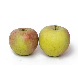 Äpfel Diwa (mittelfest/eher säuerlich)