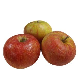 Äpfel Kidds Orange (säuerlich- süss)