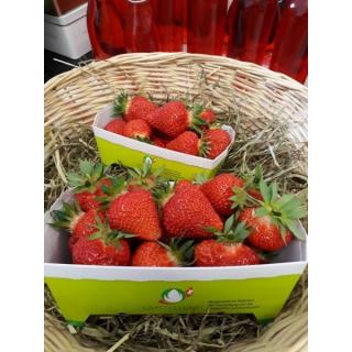 Erdbeeren 250g