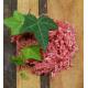 Lamm Hackfleisch 2 Personen