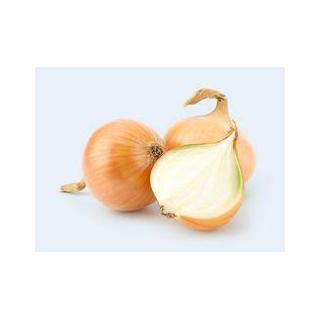 Gemüsezwiebeln (Metzgerzwiebeln)